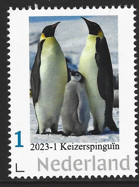 Netherlands 2023-1 Antarctica Penguins MNH
