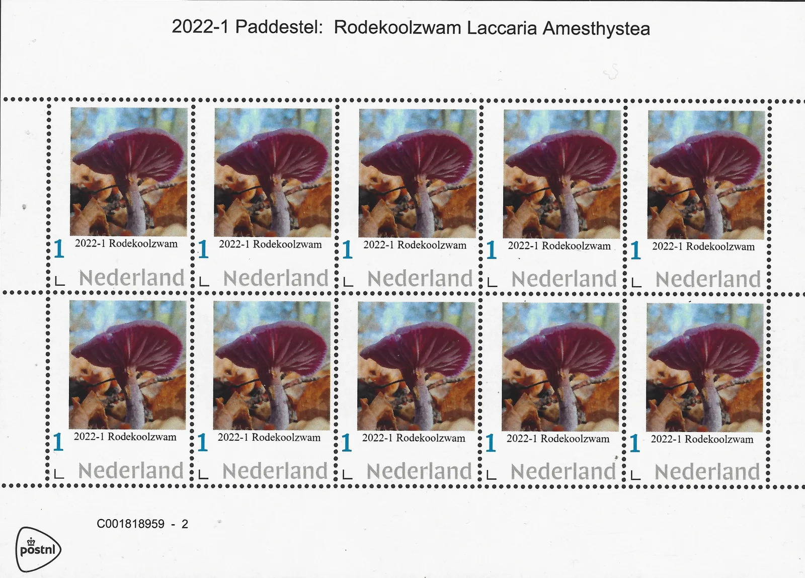 Pays-Bas 2022-1 Champignons - mushrooms Amanite tue-mouches feuille/bloc neuf/mnh