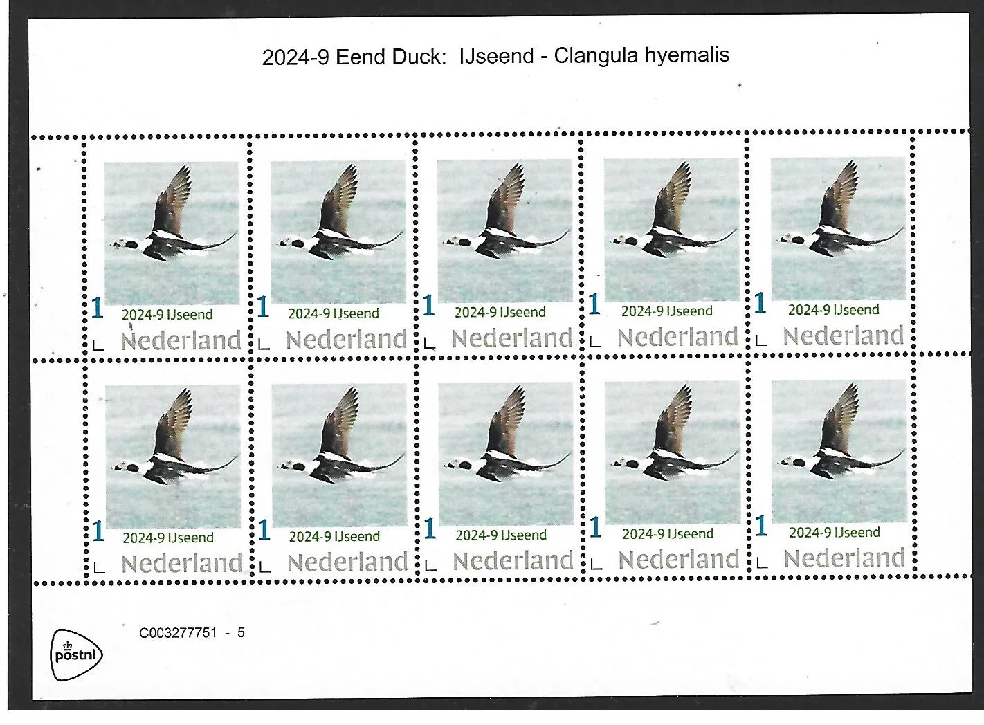 Nederland 2024-9 Eend Duck: IJseend sheetlet postfris/mnh