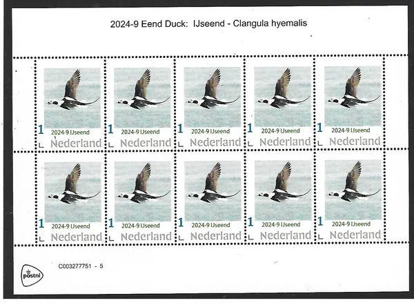 Nederland 2024-9 Eend Duck: IJseend sheetlet postfris/mnh