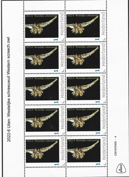 Netherlands 2022-6 Owls Western screechowl sheet postage-fresh/MNH