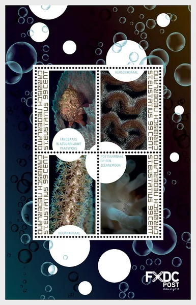 Caribbean Netherlands Bonaire 2018 Coral Reef souvenir sheet MNH