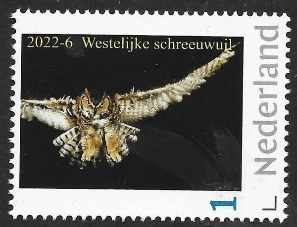 Netherlands 2022-6 Owls: Western screech owl MNH