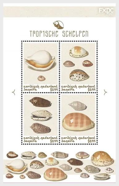 Caribisch Nederland Bonaire 2018 Schelpen shells (brown) blok-m/s postfris