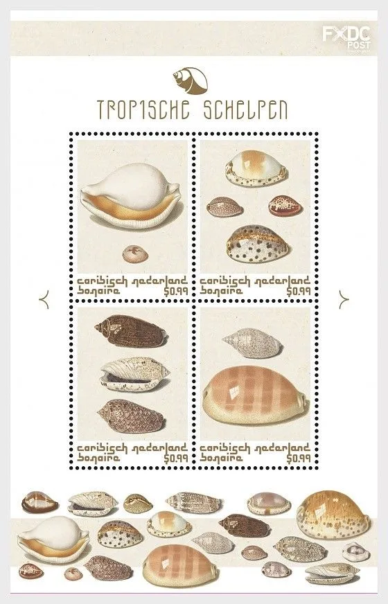 Caribbean Netherlands Bonaire 2018 Shells (brown) block m/s MNH