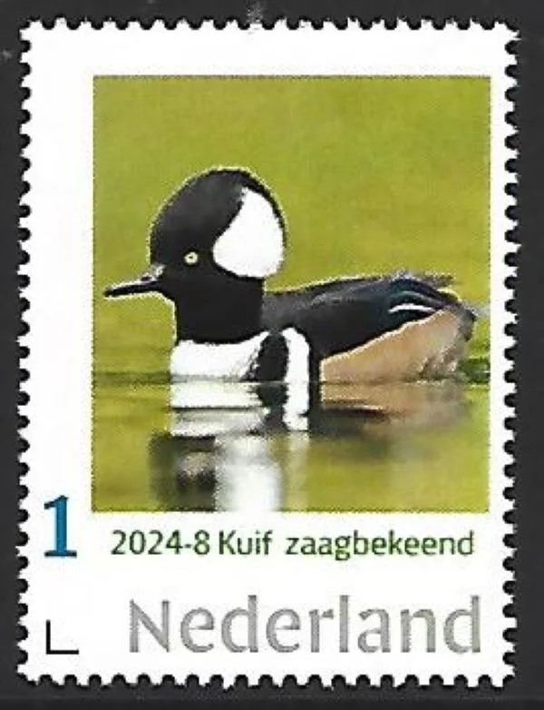 Nederland 2024-8 Eend Duck: Kuifzaagbek postfris/mnh