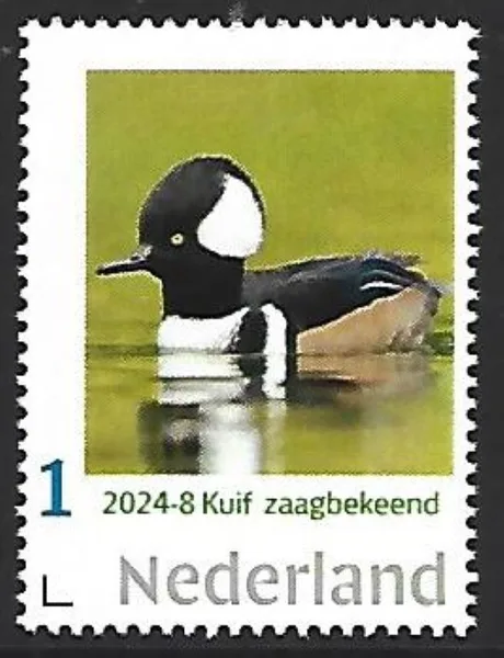 Nederland 2024-8 Eend Duck: Kuifzaagbek postfris/mnh