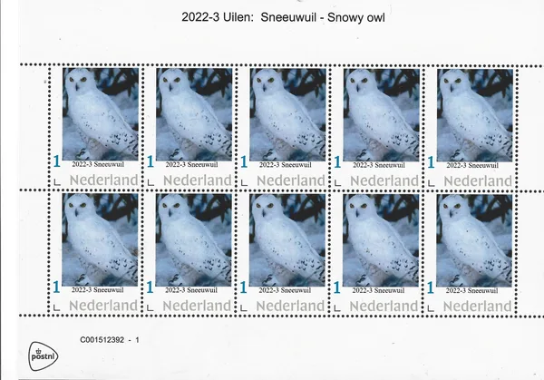 Netherlands 2022-3 Owls Snowy Owl sheet MNH