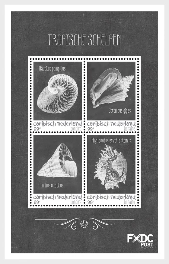 Caribisch Nederland Bonaire Schelpen shells (black-white) blok-m/s postfris