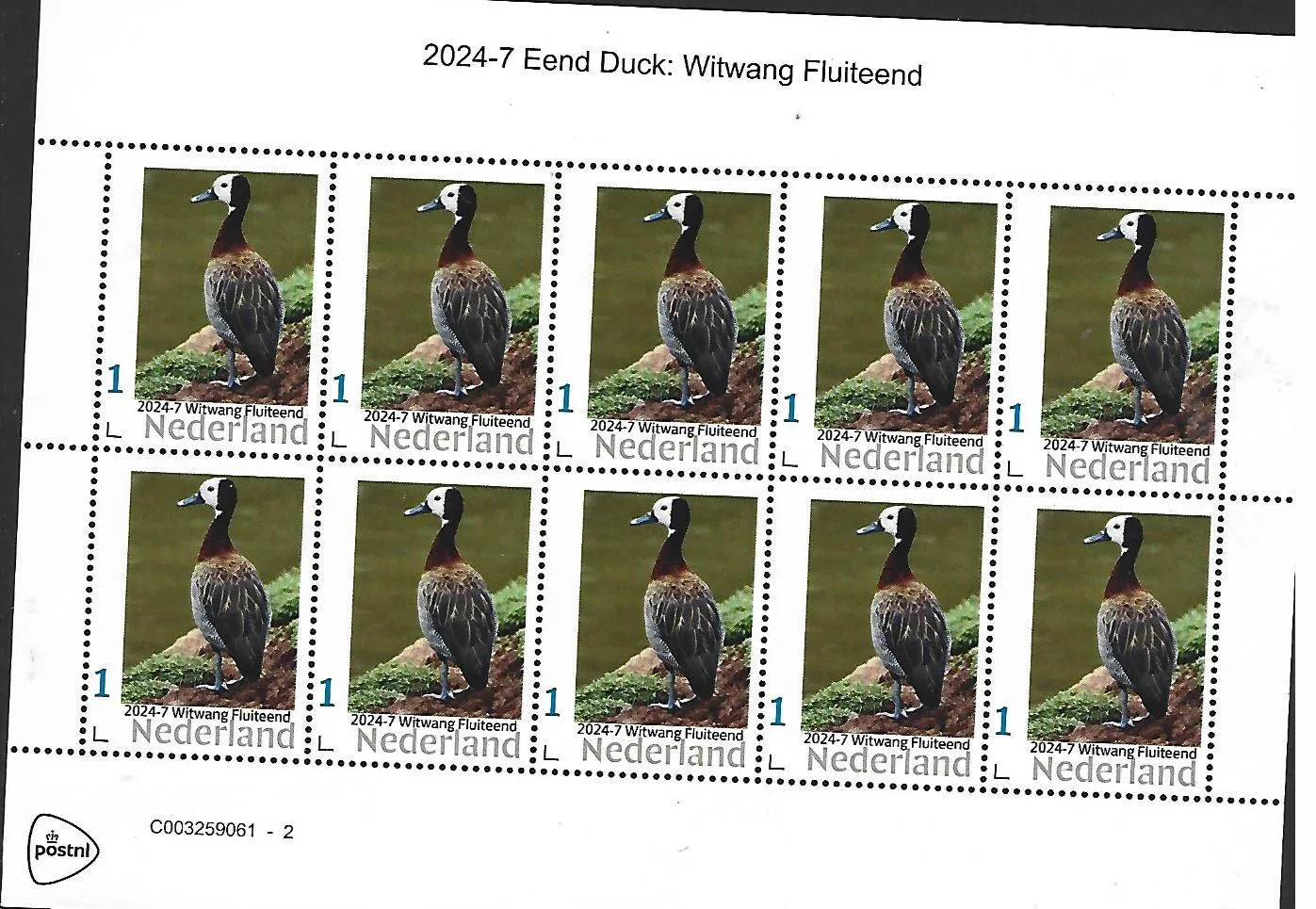 Pays-Bas 2024-7 Canard Duck Canard siffleur feuillet postfris/mnh