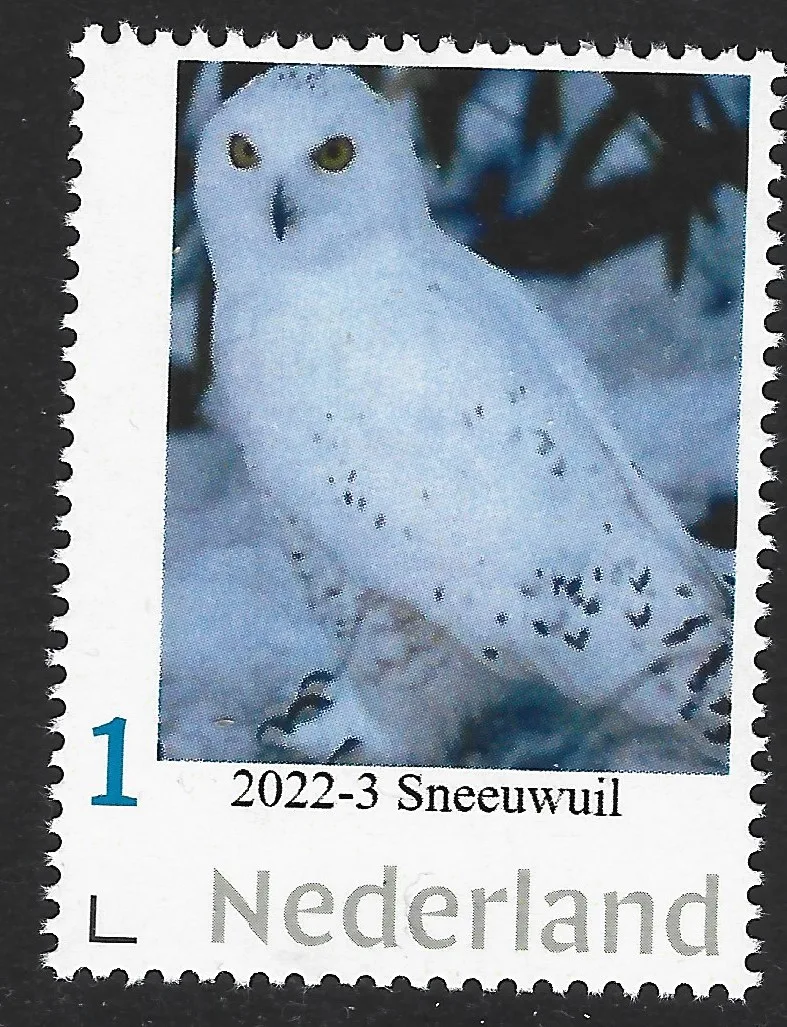 Pays-Bas 2022-3 Hiboux Chouette des neiges neuf/mnh