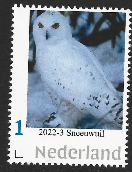Netherlands 2022-3 Owls Snowy Owl MNH