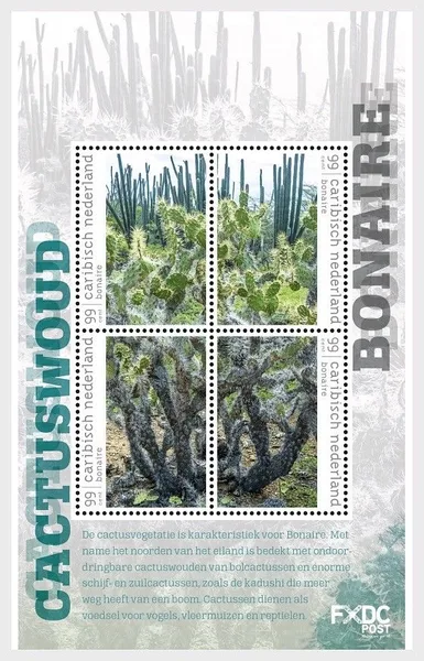 Caribbean Netherlands Bonaire 2018 Cacti block m/s MNH