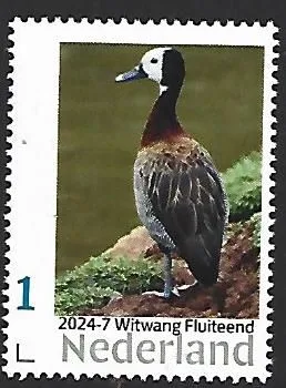 Netherlands 2024-7 Duck White-faced Whistling Duck MNH