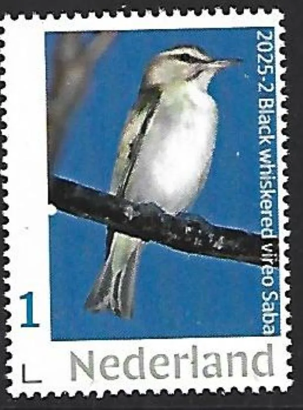 Netherlands 2025-2 Car.Netherlands Birds Black whiskered vireo MNH