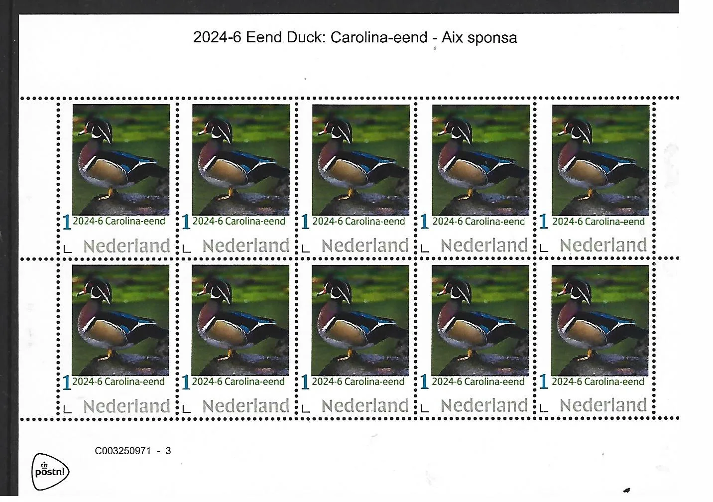 Niederlande 2024-6 Ente Duck: Brautente Aix sponsa Kleinbogen postfrisch/mnh