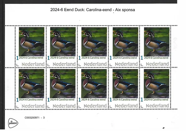 Netherlands 2024-6 Duck: Wood Duck Aix sponsa sheetlet MNH