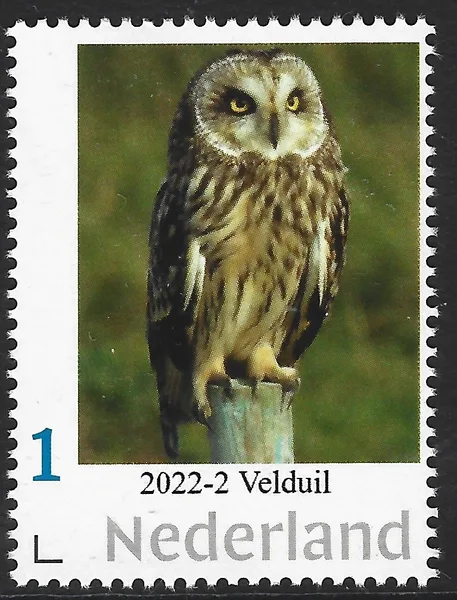 Netherlands 2022-2 Owls Tawny Owl MNH