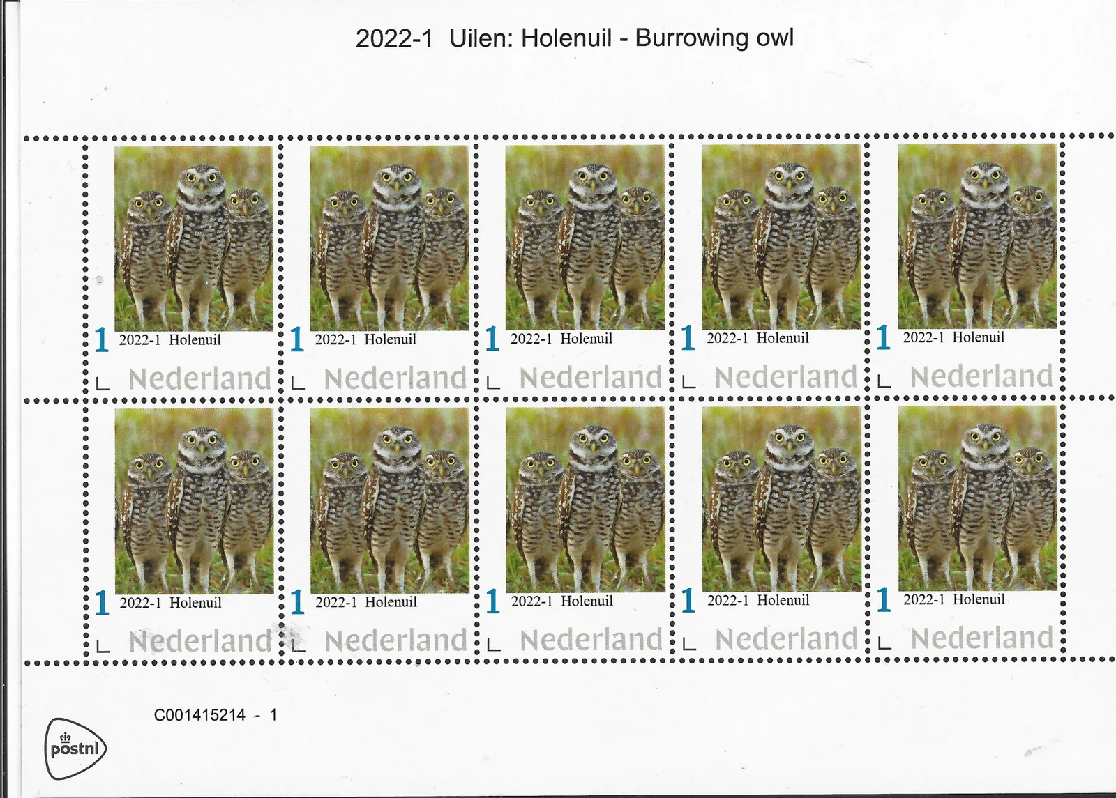 Pays-Bas 2022-1 Hiboux Chevêchette des terriers Feuille de timbres