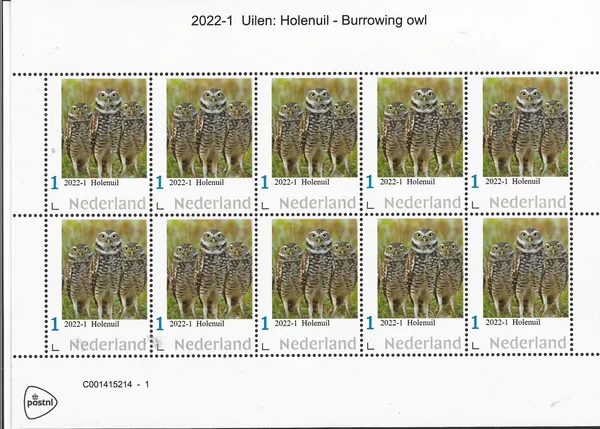 Netherlands 2022-1 Owls Tawny Owl vel-sheetlet