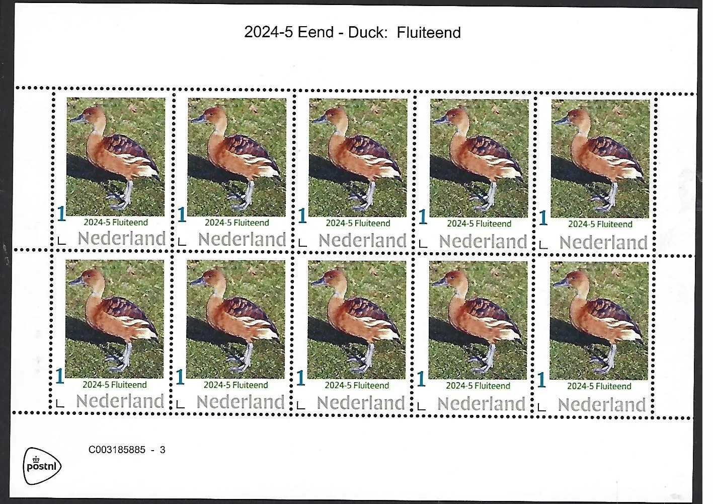 Niederlande 2024-5 Ente: Pfeifente Markenheft postfrisch/mnh