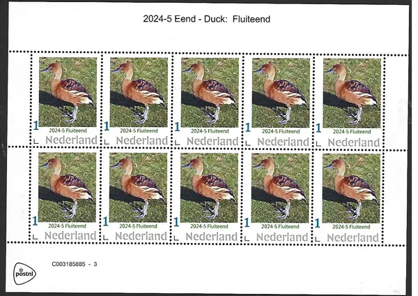 Netherlands 2024-5 Duck: Pintail sheetlet MNH