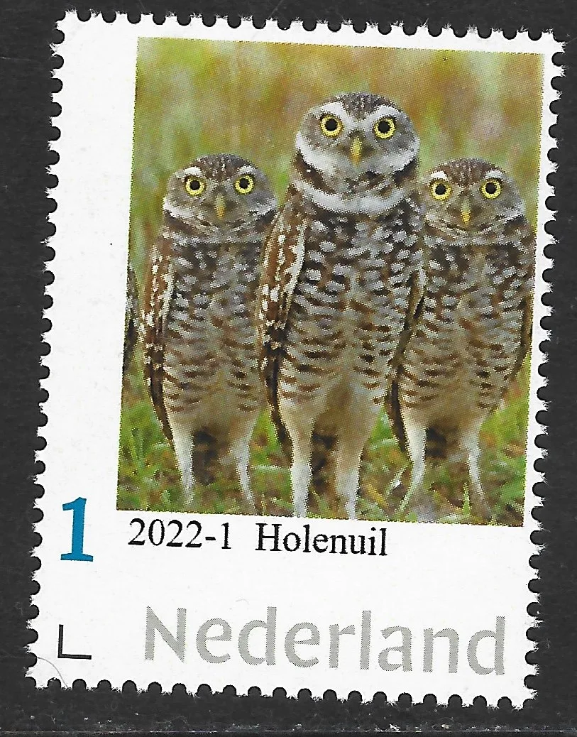 Pays-Bas 2022-1 Hiboux Chouette des terriers timbres neufs/mnh