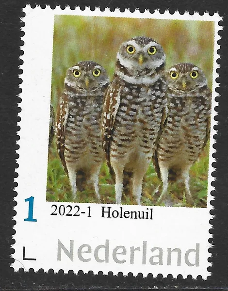 Netherlands 2022-1 Owls Barn Owl MNH
