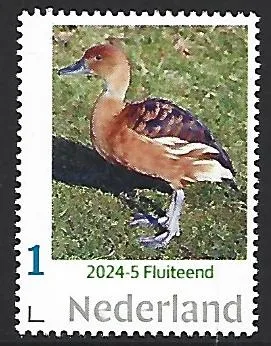 Netherlands 2024-5 Duck: Pintail MNH