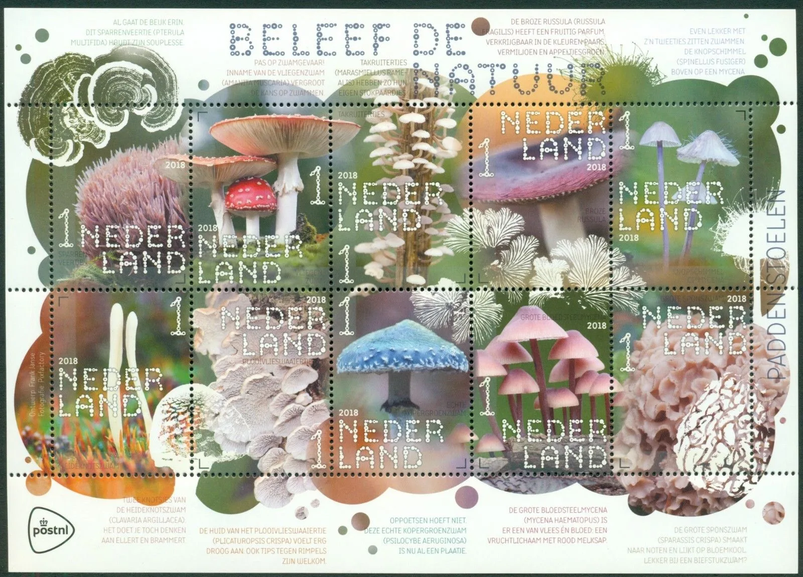 NederlandV3684-3693 Experience Nature Mushrooms sheetlet 2018 MNH