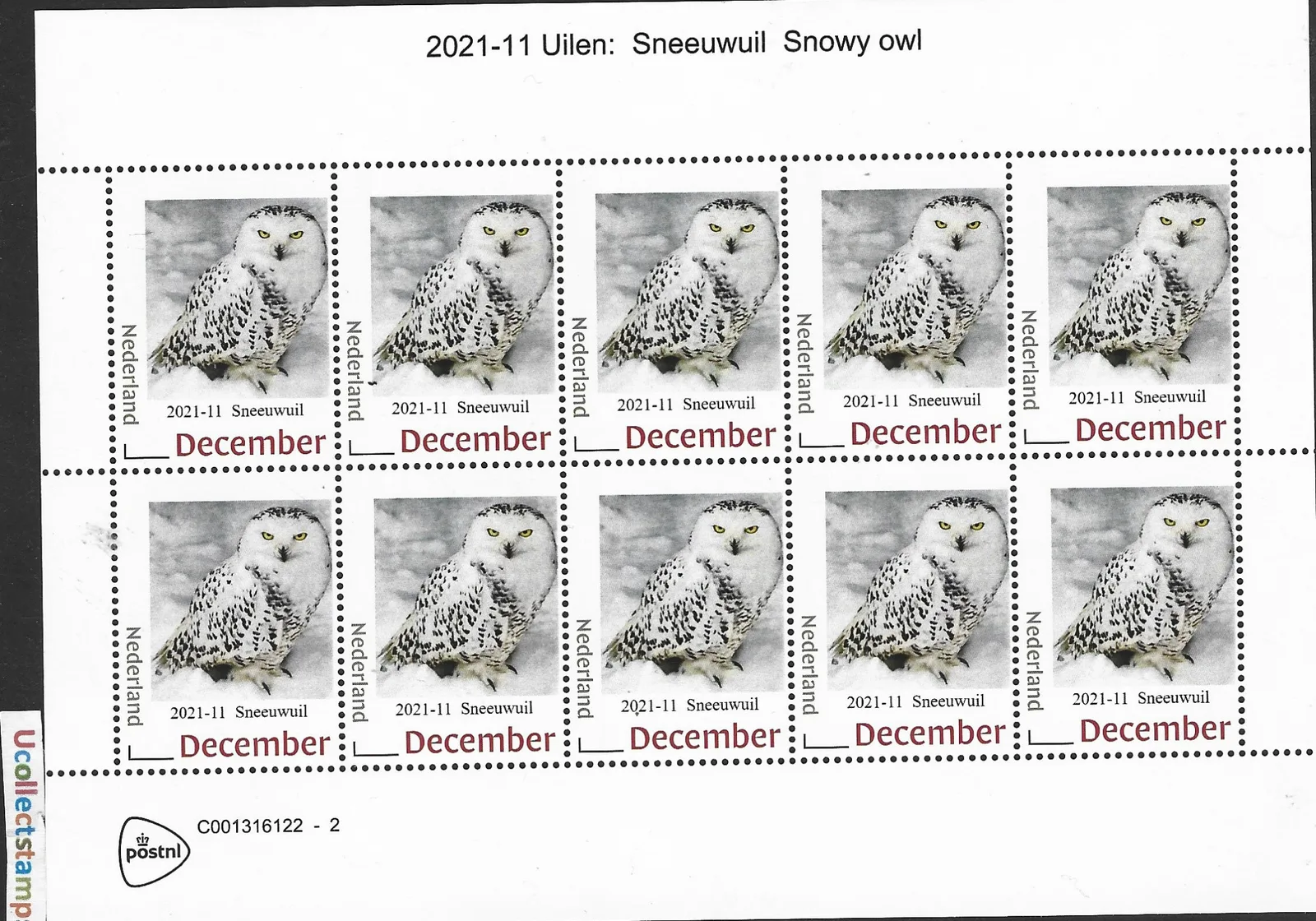 Pays-Bas 2021-11 Chouettes - Owls Chouette des neiges Snowy owl feuillet neuf/mnh