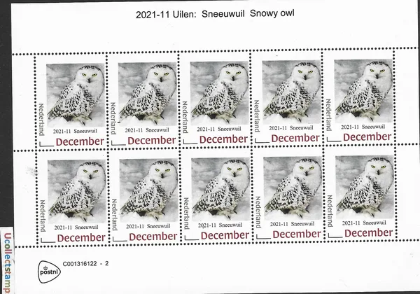 Nederland 2021-11 Uilen - Owls Sneeuwuil Snowy owl vel-sheetlet postfris/mnh