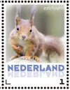 Nederland 3013 Eekhoorn - Squirrel - eichhorn 2013 postfris/mnh