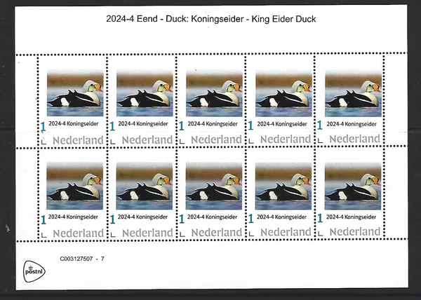 Nederland 2024-4 Eend Duck: Koningseidereend sheetlet postfris/mnh