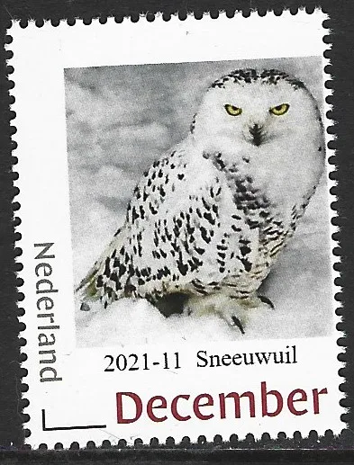 Pays-Bas 2021-11 Hiboux - Owls Harfang des neiges Snowy owl neuf/mnh