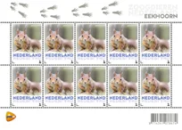 Nederland V3013 Eekhoorn 2013 vel/sheetlet
