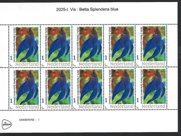 Netherlands 2025-1 Fish: Betta Splendens (blue) sheet MNH