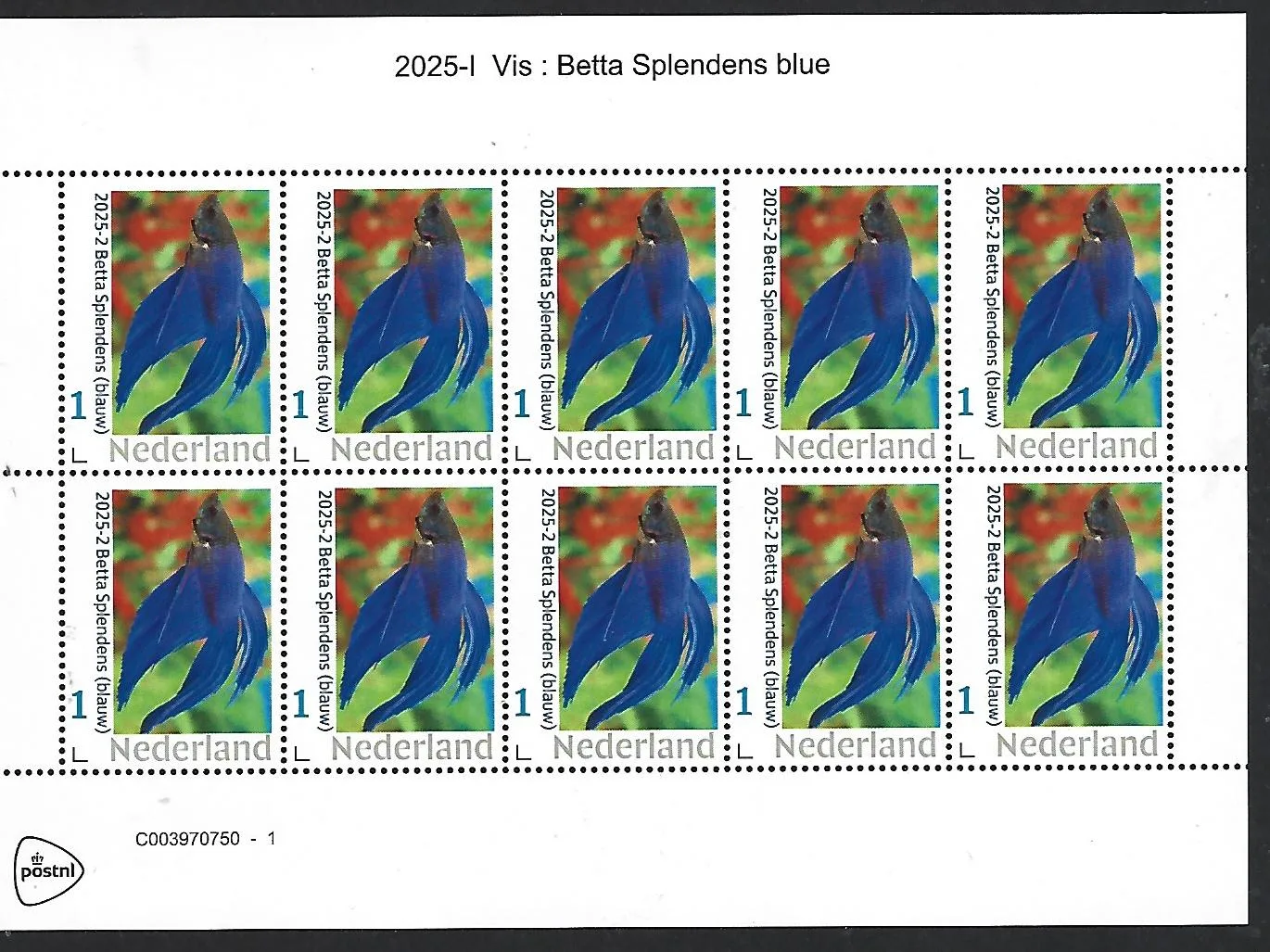 Nederland 2025-1 Vis Fish: Betta Splendens (blue) sheet postfris/mnh