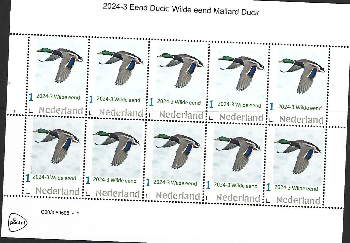 Pays-Bas 2024-3 Canard Duck: Canard colvert Mallard Duck feuillet timbres neufs//mnh