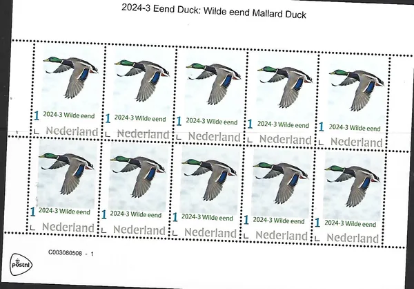Netherlands 2024-3 Duck: Mallard Duck sheet MNH