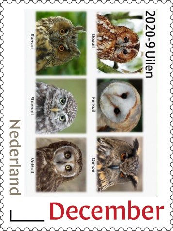 Nederland 2020-9 Uilen - owls postfris/mnh