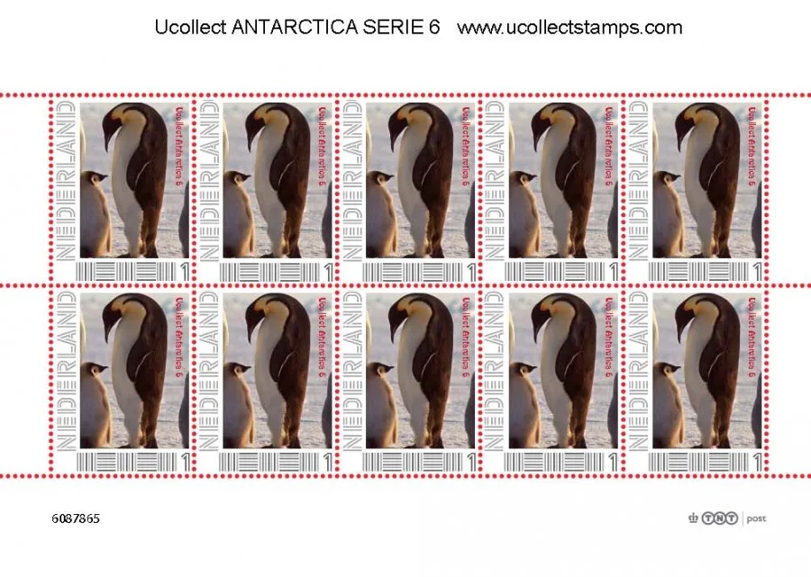 NEDERLAND Ucollect Antararctica nr 6 Keizerspinguin vel/sheetlet postfris/mnh