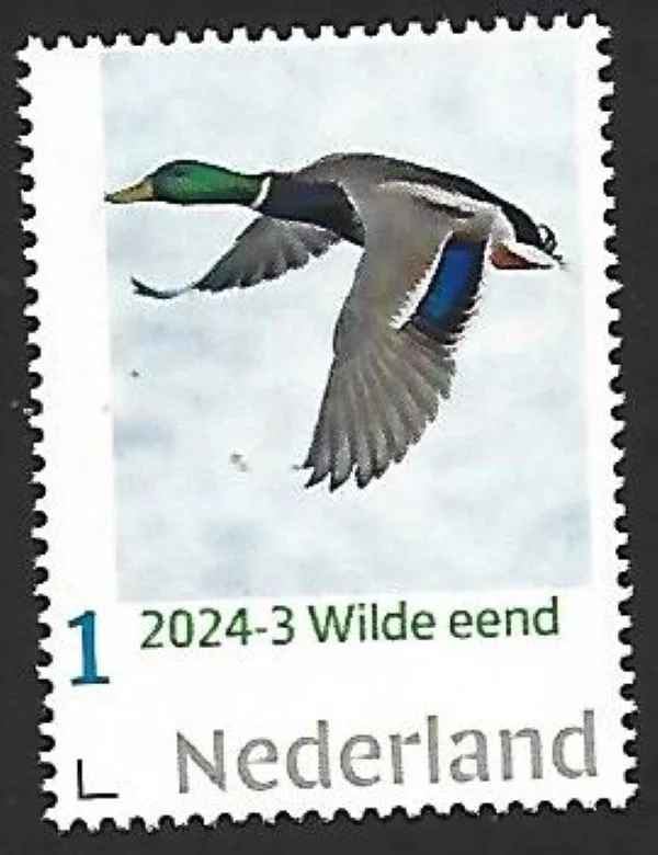 Niederlande 2024-3 Ente Wildente Stockente postfrisch/mnh