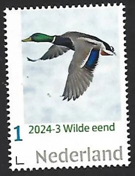 Netherlands 2024-3 Duck: Mallard MNH