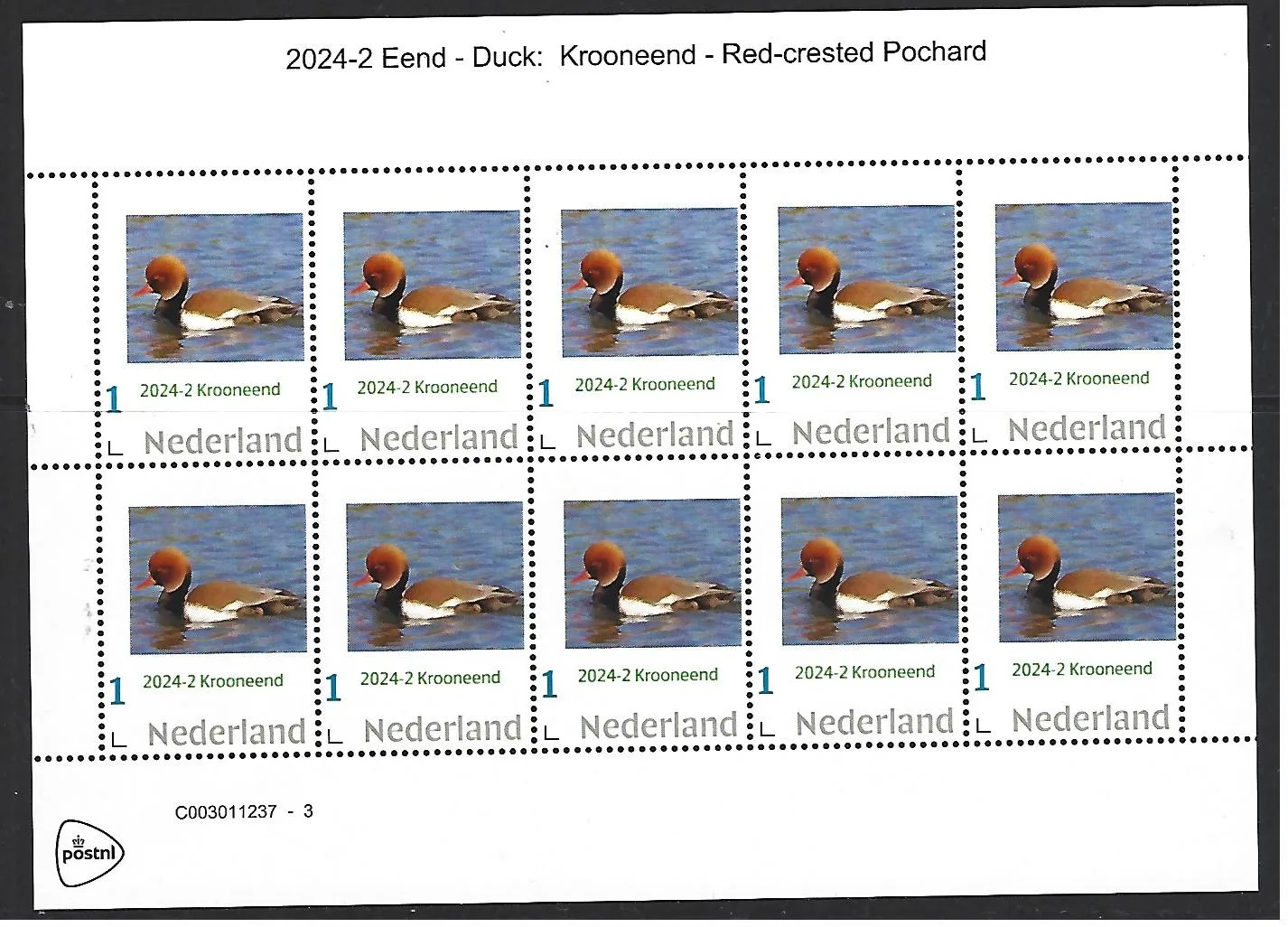 Niederlande 2024-2 Ente Duck: Krooneend vel-sheetlet postfrisch/mnh