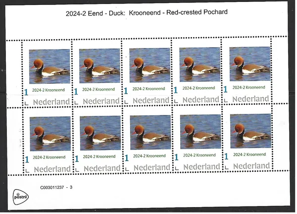 Nederland 2024-2 Eend Duck: Krooneend vel-sheetlet postfris//mnh