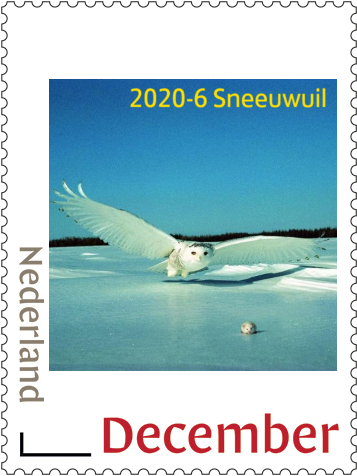 Nederland 2020-6 Uilen - owls sneeuwuil postfris/mnh
