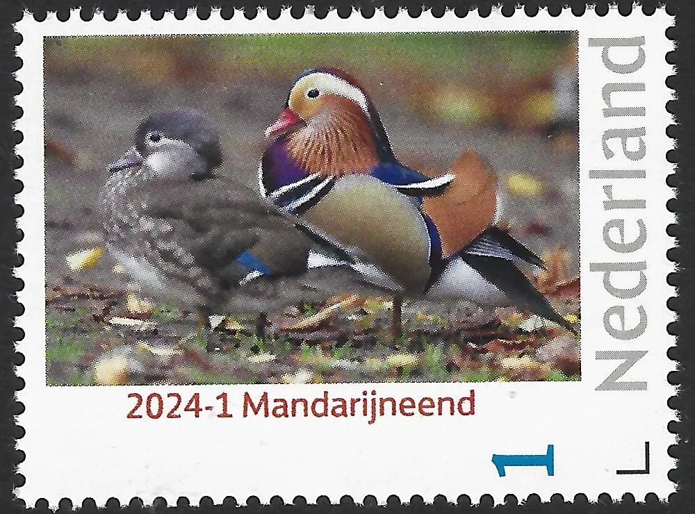 Niederlande 2024-1 Ente Mandarinente postfrisch/mnh