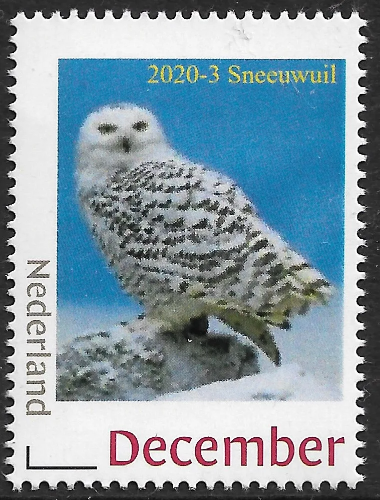 Niederlande 2020-3 Eulen Schnee-Eule postfrisch-mnh