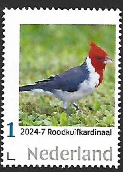 Nederland 2024-7 Roodkuifkardinaal Red-crested cardinal postfris/mnh